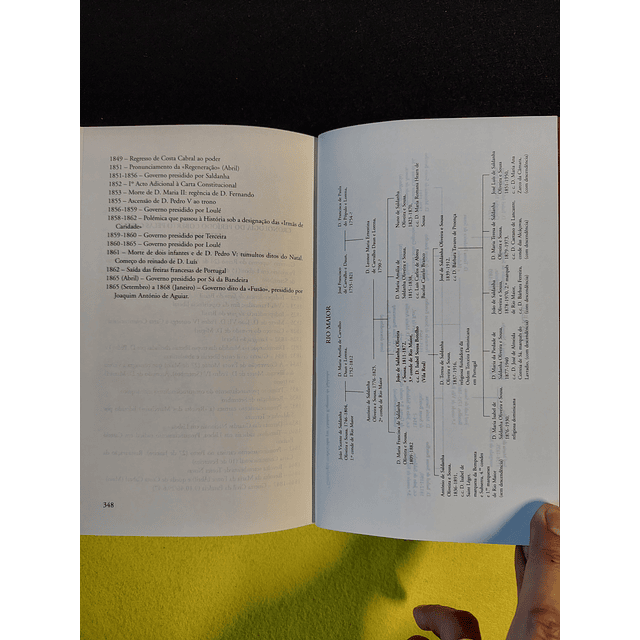 Maria Filomena Mónica - Isabel, Condessa de Rio Maior: Correspondência para seus filhos 1852/1865