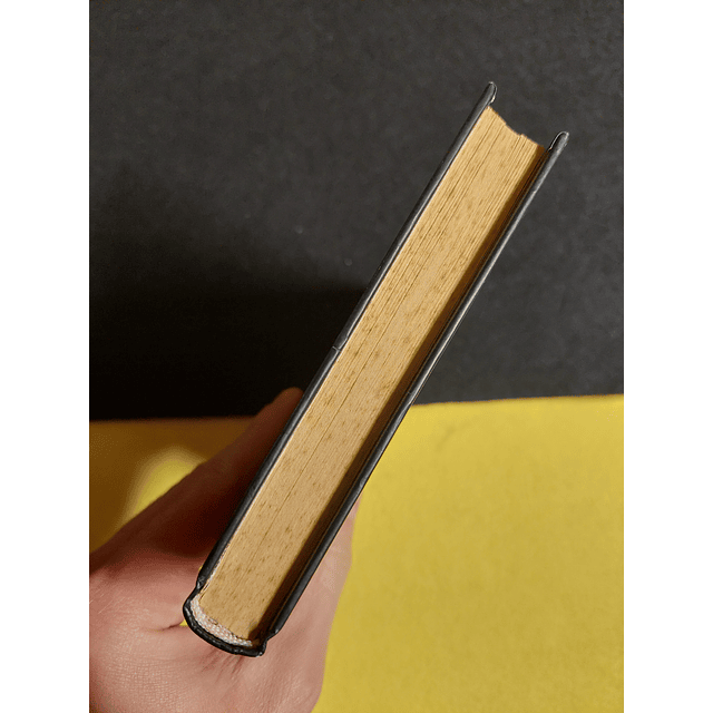 D. M. Thomas - O hotel branco