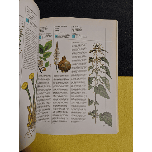 William A.R. Thomson D. M. - Guia práctica ilustrada de las plantas medicinales