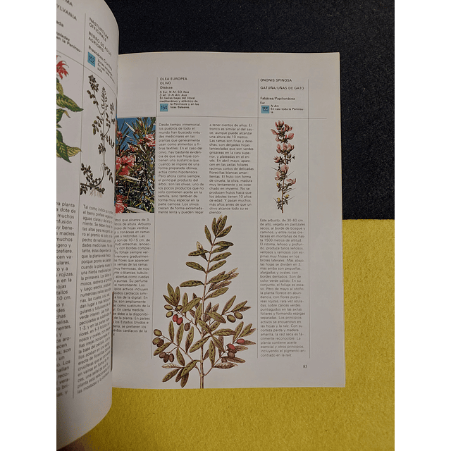 William A.R. Thomson D. M. - Guia práctica ilustrada de las plantas medicinales