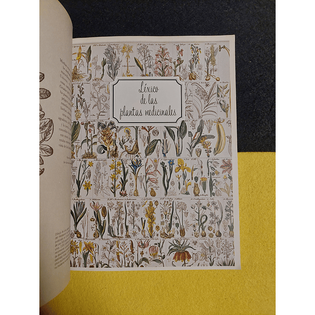 William A.R. Thomson D. M. - Guia práctica ilustrada de las plantas medicinales