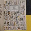William A.R. Thomson D. M. - Guia práctica ilustrada de las plantas medicinales