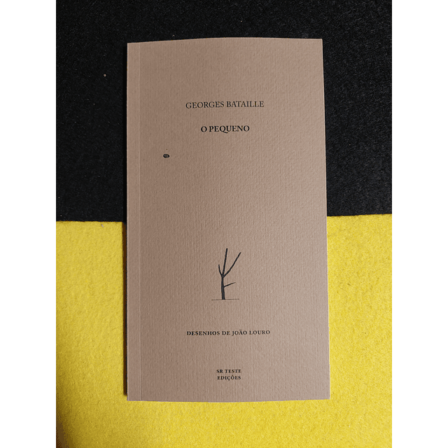 Georges Bataille - O pequeno