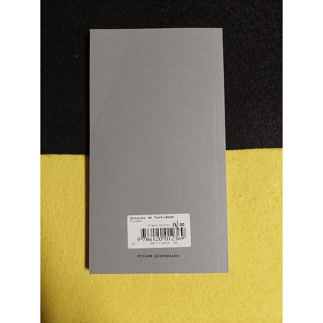 Miguel Bonneville - Ensaios de santidade