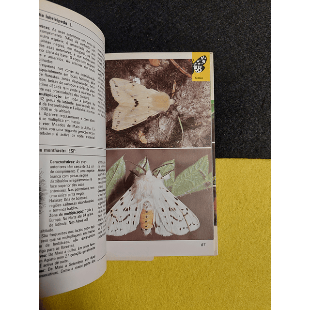 O mundo da natureza: Borboletas