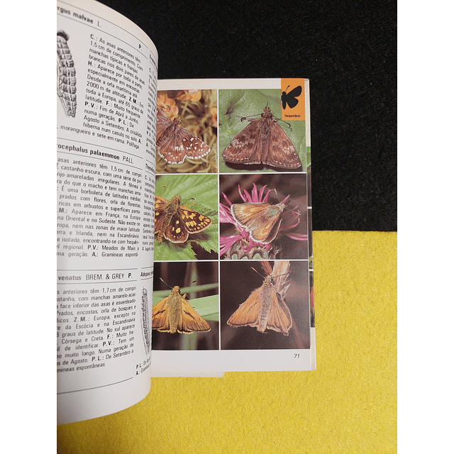 O mundo da natureza: Borboletas