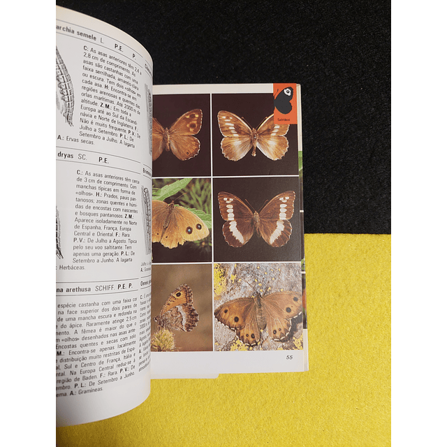 O mundo da natureza: Borboletas