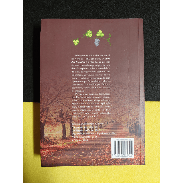 Allan Kardec - O livro dos espíritos