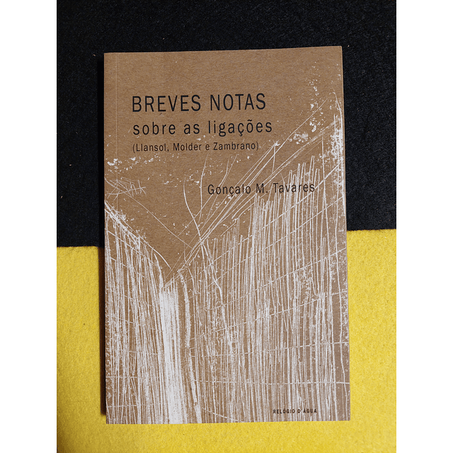 Gonçalo M. Tavares - Breves notas sobre as ligações (Llansol, Molder e Zambrano)