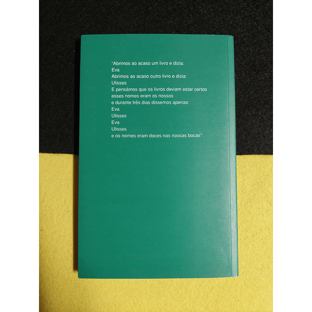 Pedro Eiras - Recitativo dos livros do deserto