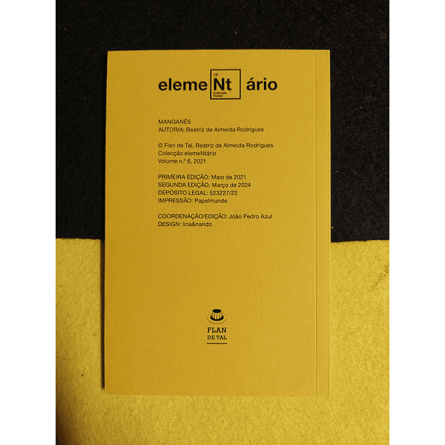 Beatriz Almeida Rodrigues - Manganês