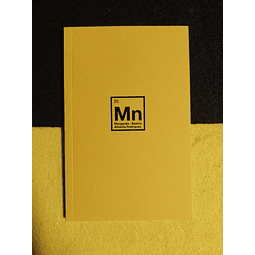 Beatriz Almeida Rodrigues - Manganês