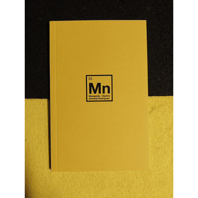 Beatriz Almeida Rodrigues - Manganês