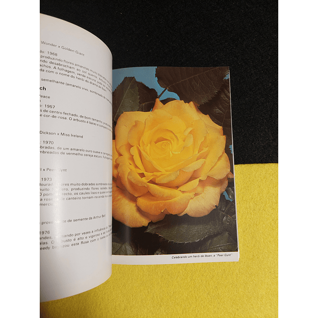 Mark Mattock - Guia prático das rosas