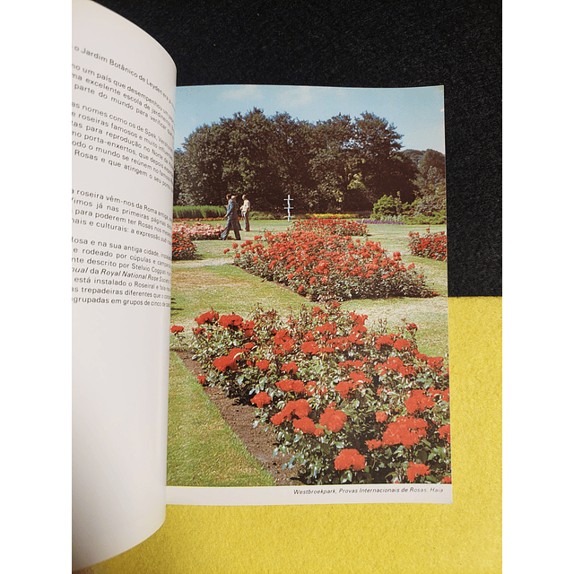 Mark Mattock - Guia prático das rosas