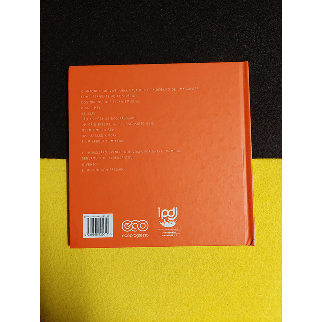 Afonso Cruz - Os pássaros (dos poemas voam mais alto)