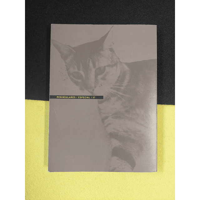 Agostinho da Silva - Vida conversável