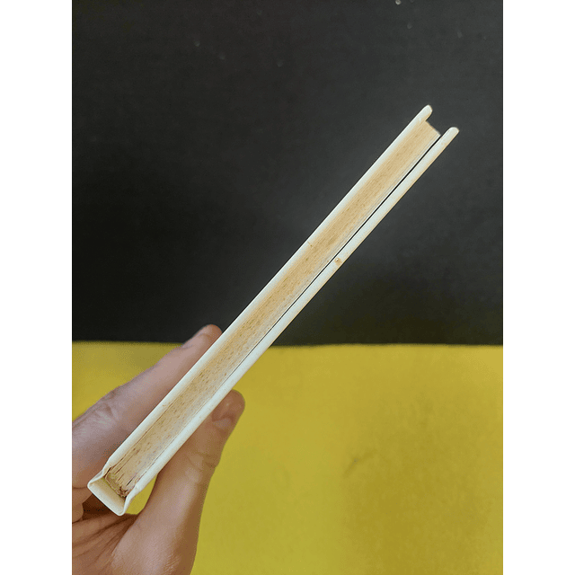 Gonçalo M. Tavares - O senhor Valéry e a lógica