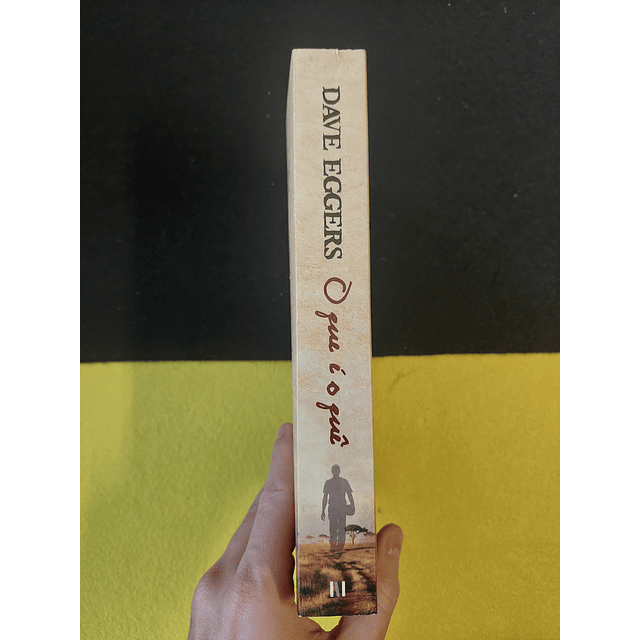 Dave Eggers - O que é o quê 