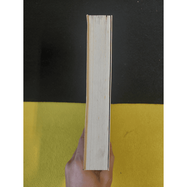 Dave Eggers - O que é o quê 