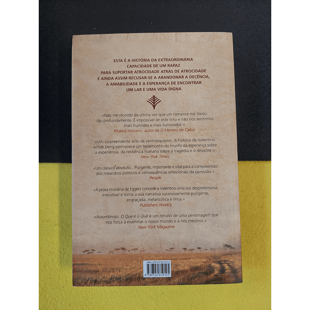 Dave Eggers - O que é o quê 