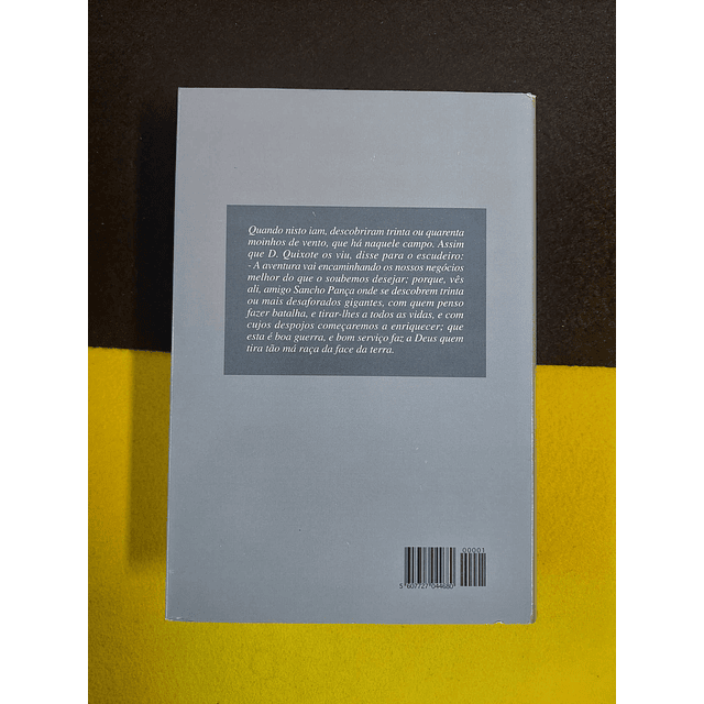 Miguel de Cervantes - D. Quixote de la Mancha 