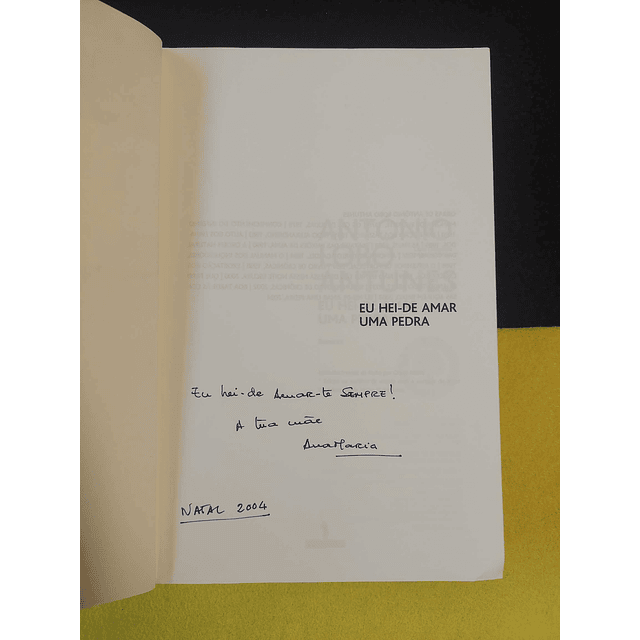 António Lobo Antunes - Eu hei-de amar uma pedra