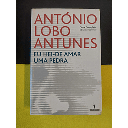 António Lobo Antunes - Eu hei-de amar uma pedra