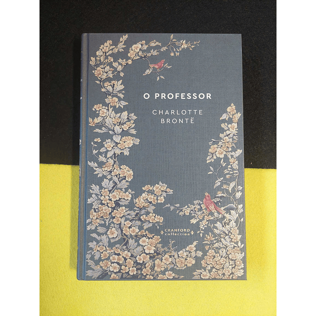 Charlotte Bronte - O professor