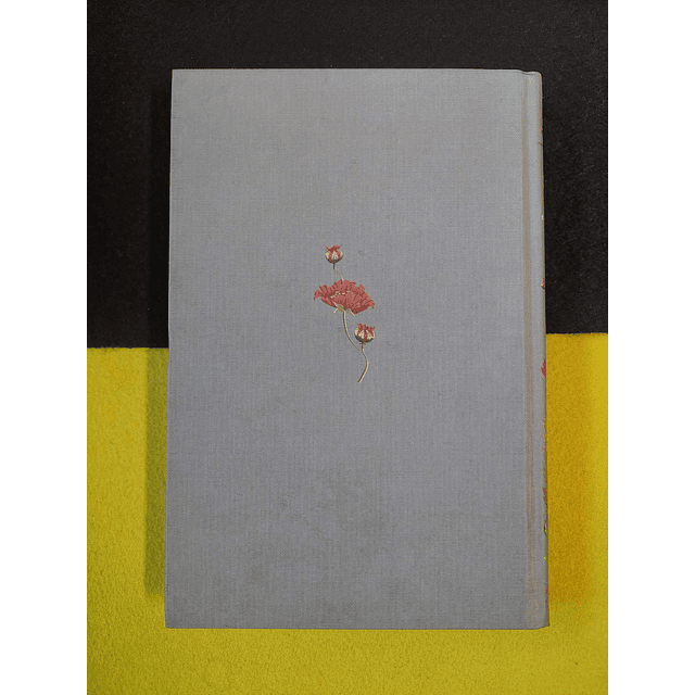 Theodor Fontane - Effi Briest 