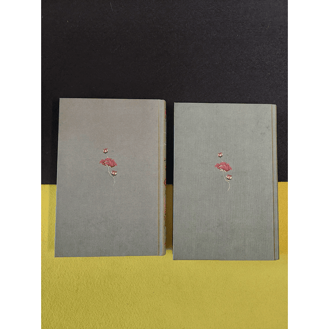 Lev Tolstoi - Anna Karénina. 2 volumes