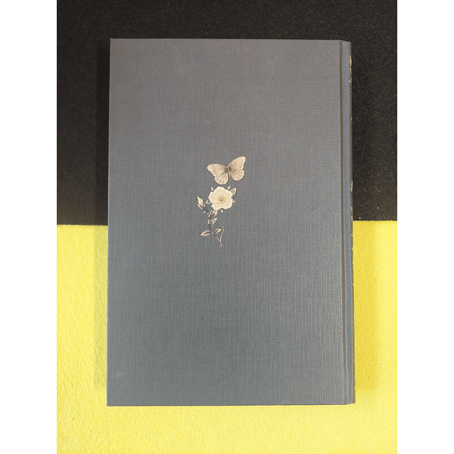 Anne Bronte - Agnes Grey