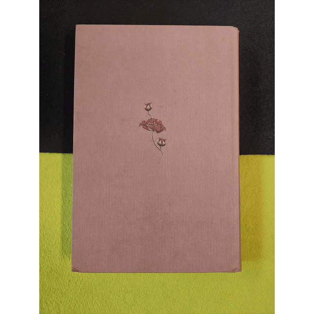 Mary Elizabeth Braddon - O segredo terrível