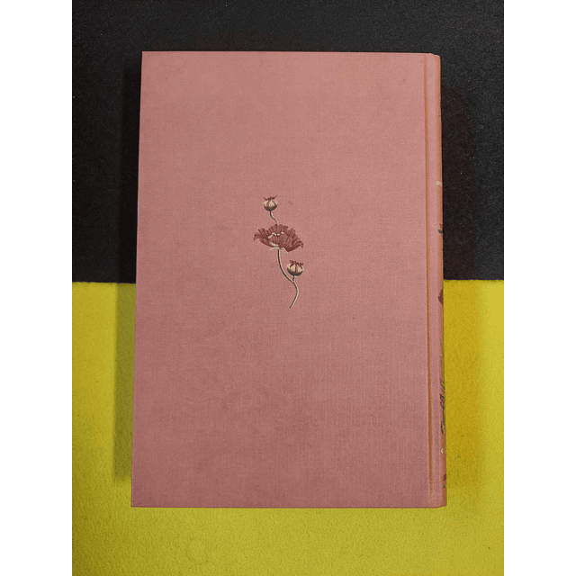 Emily Bronte - O monte dos vendavais