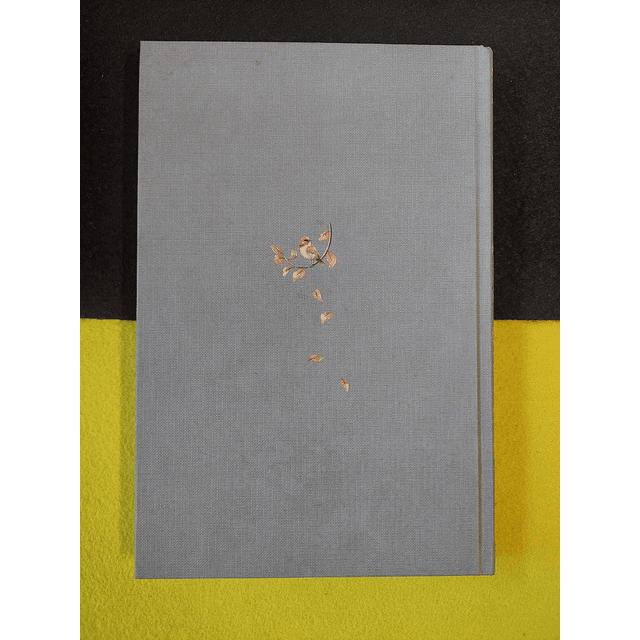 Edith Wharton - Verão