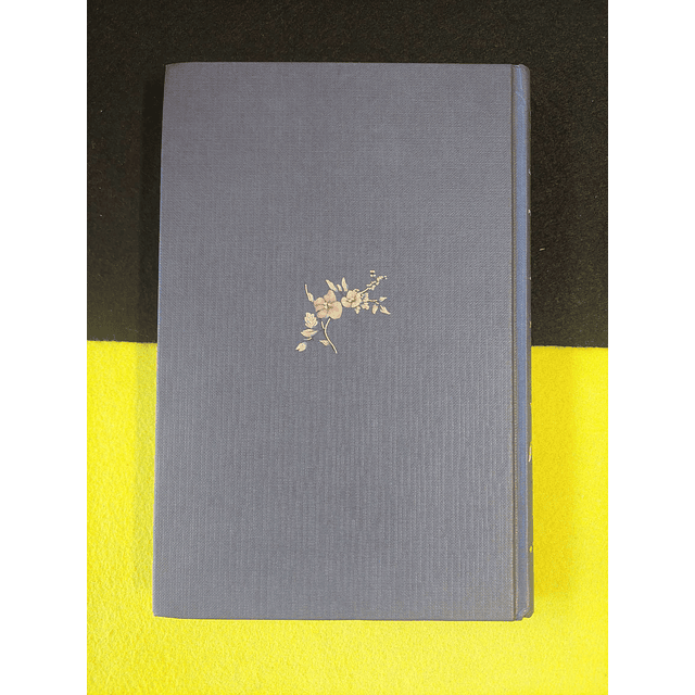 Louisa May Alcott - Perseguição