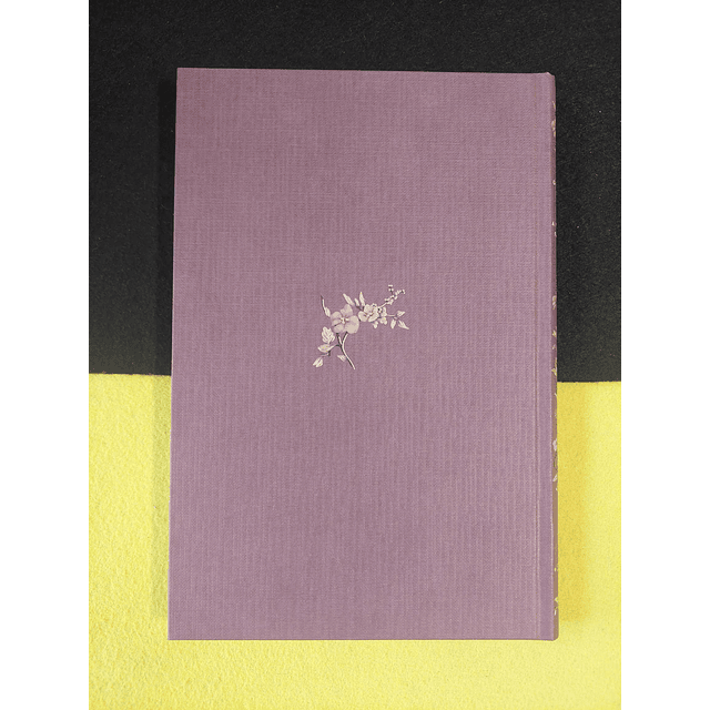 George Sand - A pequena Fadette 