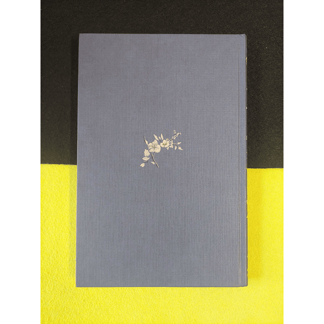 Jean Webster - O papá das pernas altas