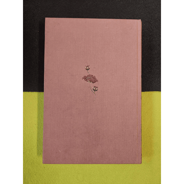 George Sand - Indiana