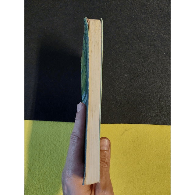 José Mauro de Vasconcelos - Rosinha, minha canoa 