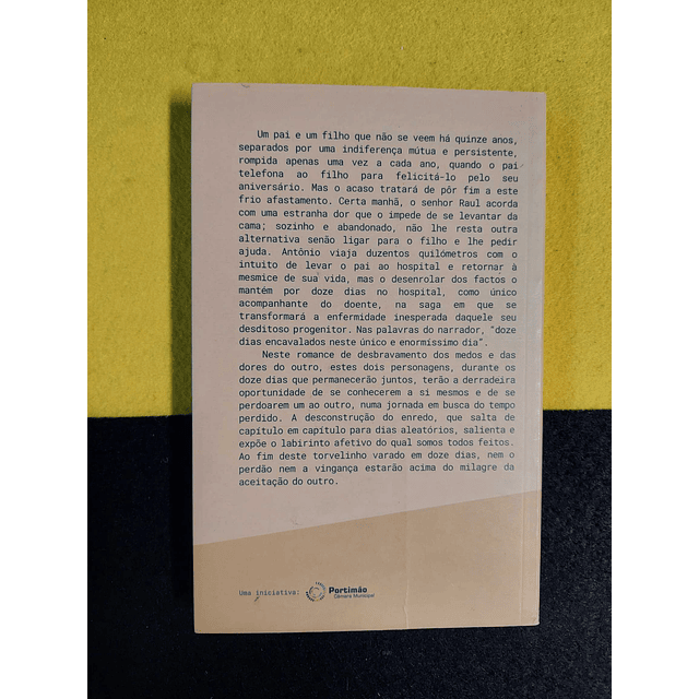 Tiago Feijó - Doze dias