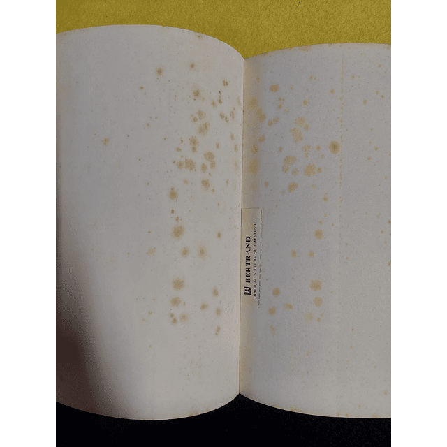 Christian Jacq - A pedra de luz: Néfer, o silencioso 