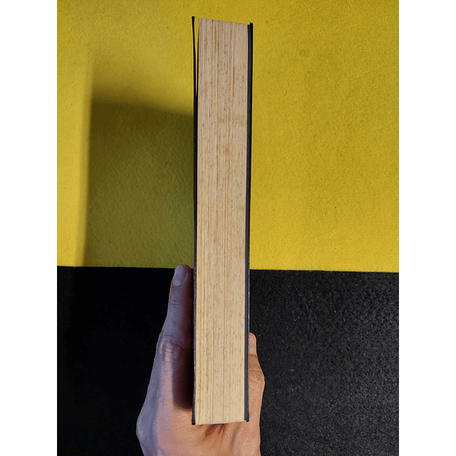 Christian Jacq - A pedra de luz: Néfer, o silencioso 