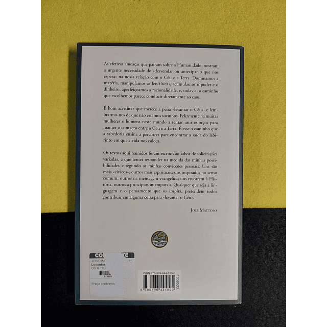 José Mattoso - Levantar o céu: Os labirintos da sabedoria