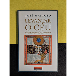 José Mattoso - Levantar o céu: Os labirintos da sabedoria