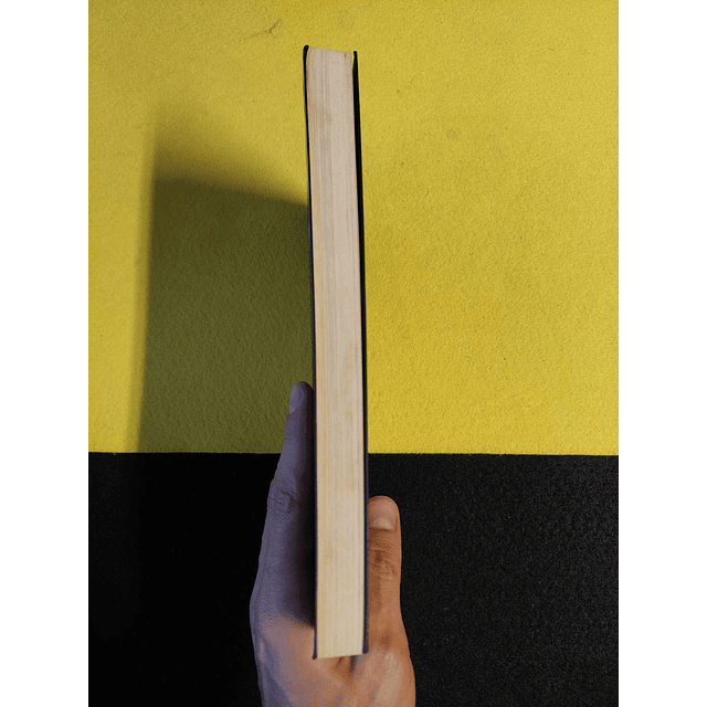 Peter Ackroyd - Os Lamb: Uma família de Londres