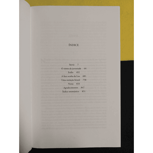 Paul Auster - Um homem em chamas: A vida e a obra de Stephen Crane