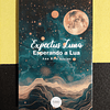 Ana Rita Areias - Expectus luna