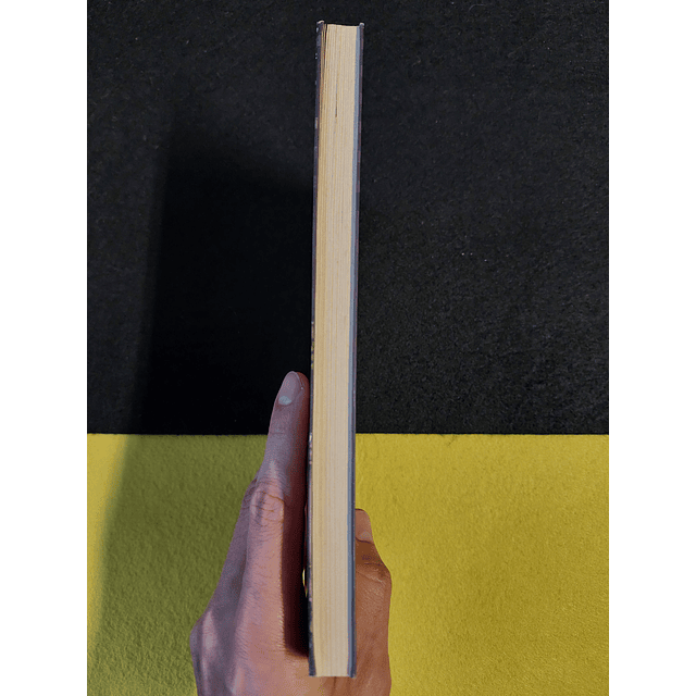 Shafique Keshavjee - A Princesa e o profeta