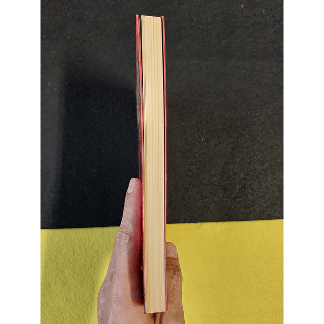 Rosamunde Pilcher - O outro lado do Amor